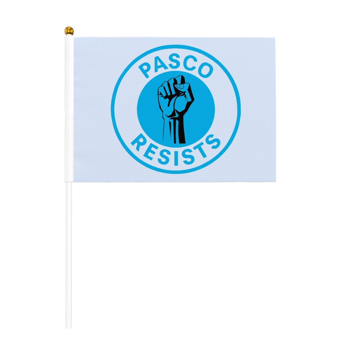 Pasco Resists Small Hand Flags (Set of 6), Free Shipping