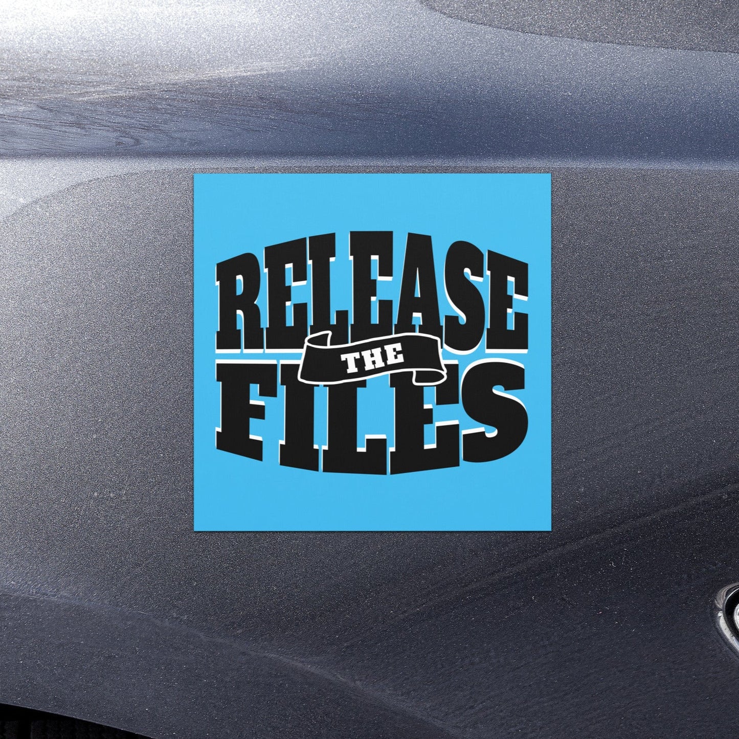 Release the Epstein Files Car Magnet, Free Shipping