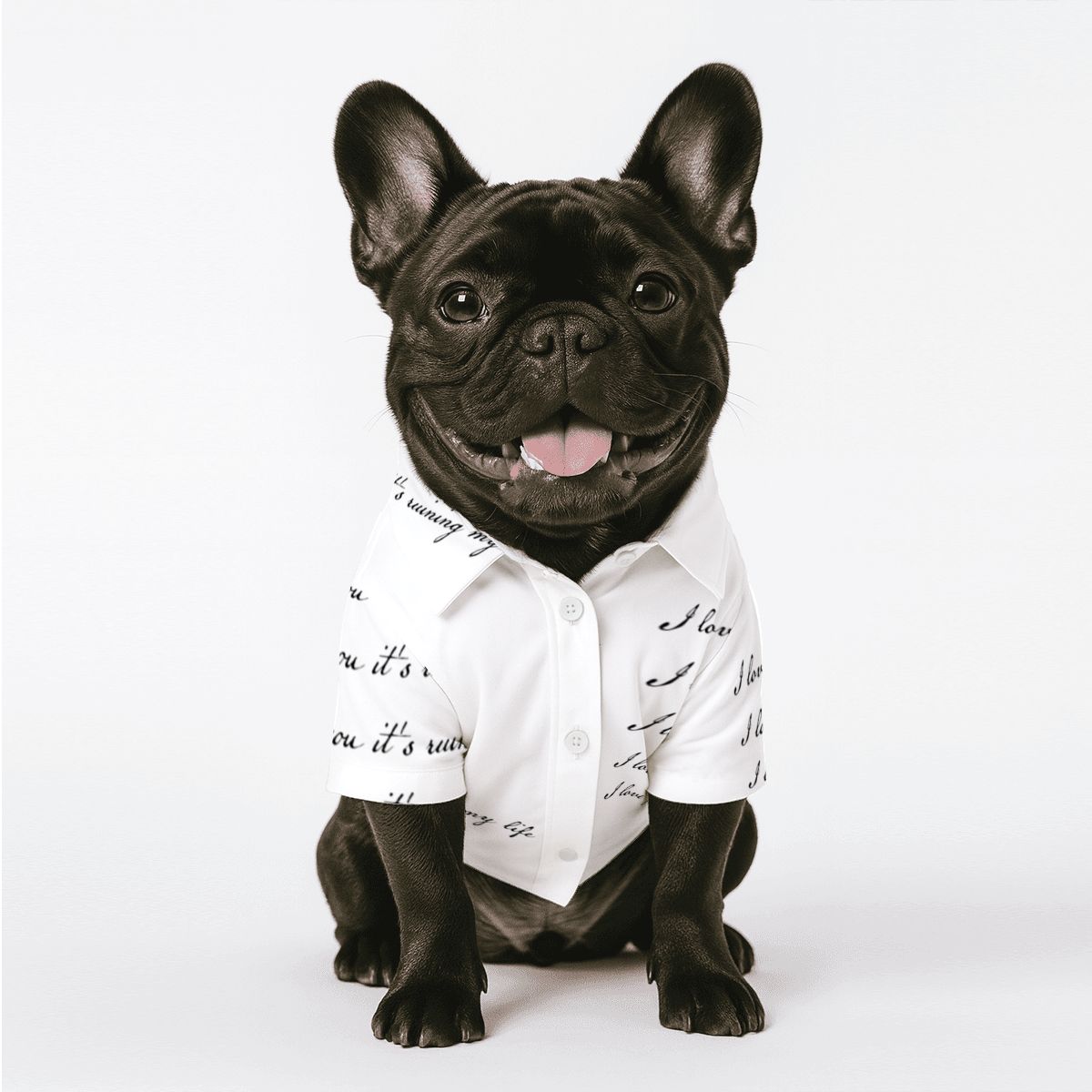 Who’s Afraid of Little Old Me? – TTPD Pet Shirt , Dog or Cat Lover,  Free Shipping