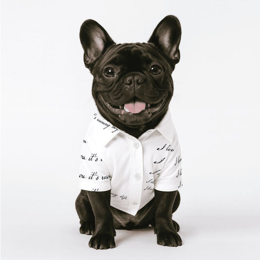 Who’s Afraid of Little Old Me? – TTPD Pet Shirt , Dog or Cat Lover,  Free Shipping
