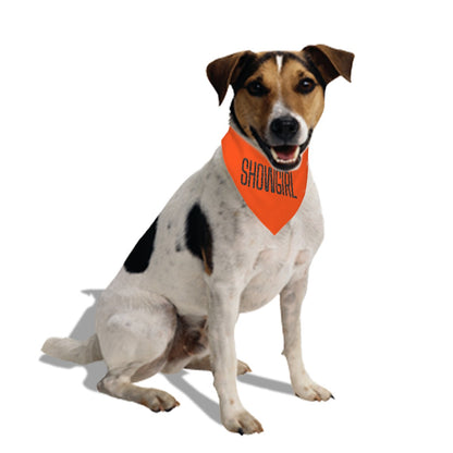 Showgirl Era, Dog Bandana Double Sided with Buckle, Pet Safe, Free Shipping
