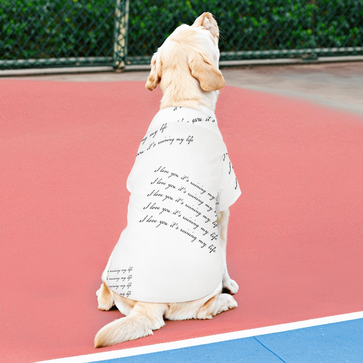 Who’s Afraid of Little Old Me? – TTPD Pet Shirt , Dog or Cat Lover,  Free Shipping