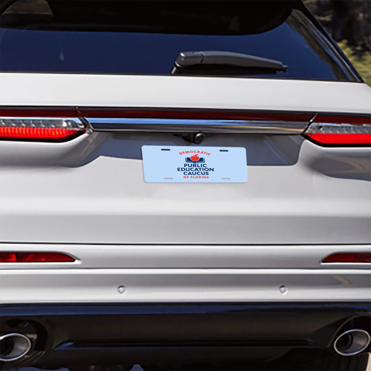 License Plate Pasco DPEC - Free Shipping